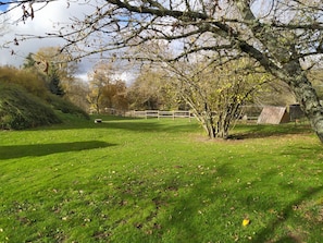 Un champ herbeux avec une clôture en bois, des arbres et une petite construction en arrière-plan.