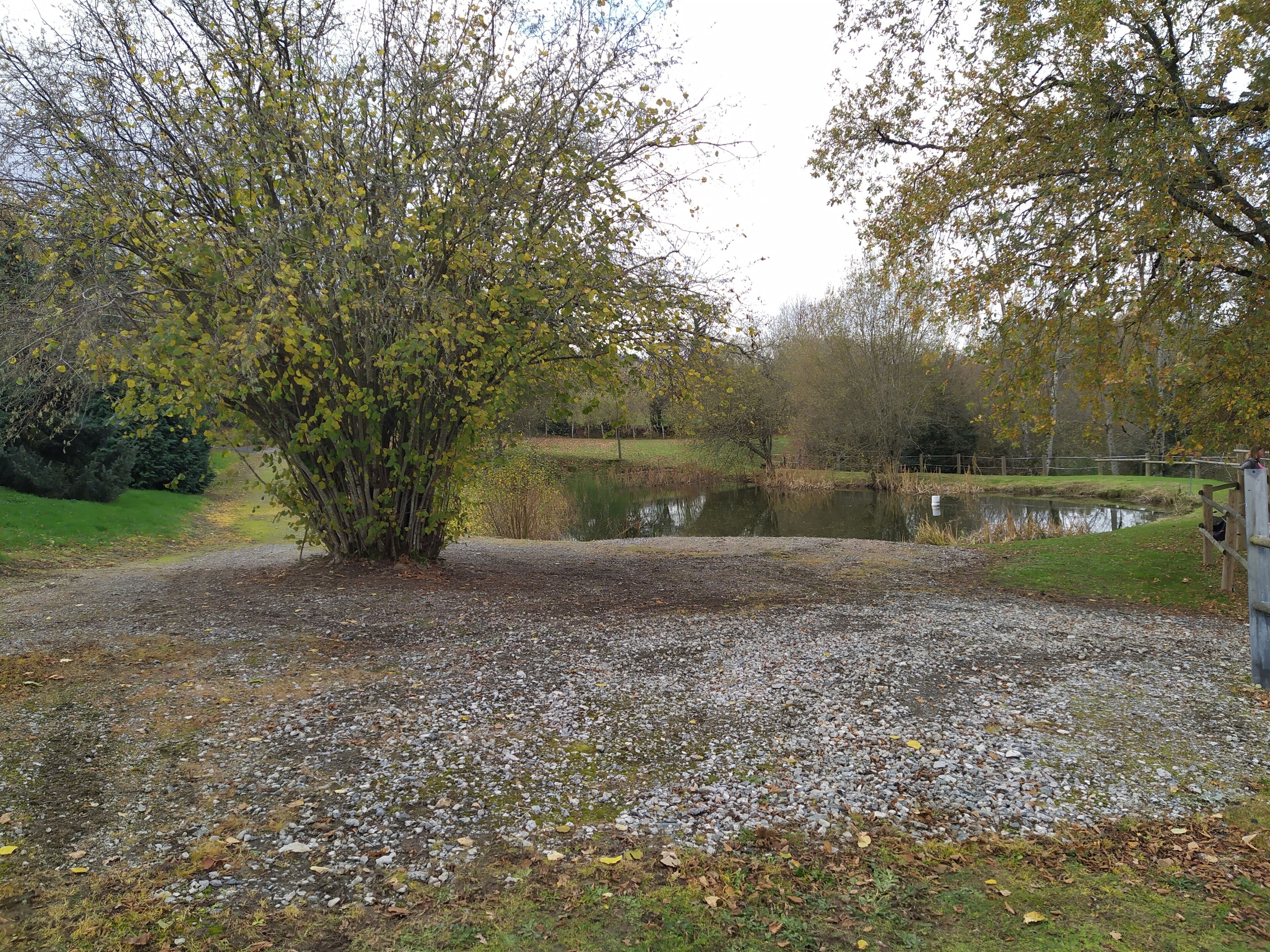 A gravel path leading to a pond surrounded by trees and a wooden fence.