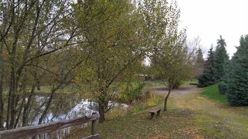 A park with a wooden fence, a bench, and trees.