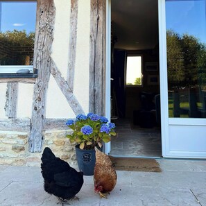 Exterior detail - Normandy cottage 5 min from Beuvron en Auge (Hotot-en-Auge)