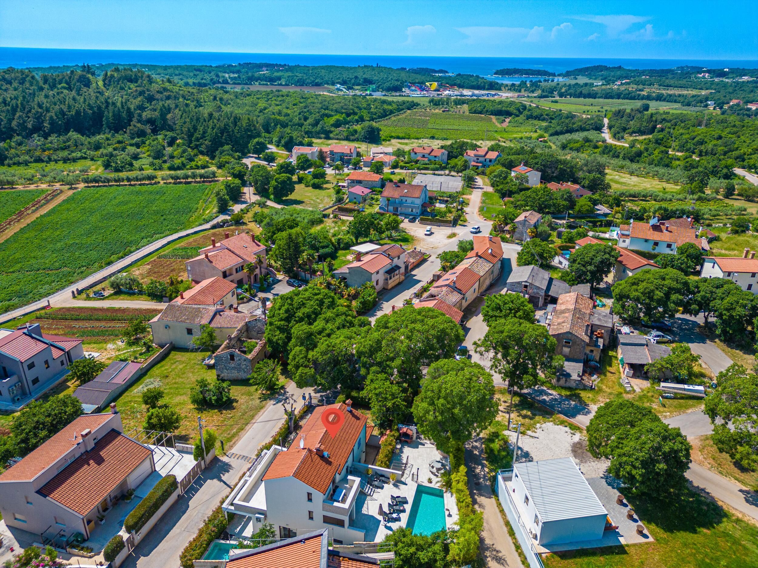 An aerial view of a residential area with houses, a swimming pool, and a vineyard.