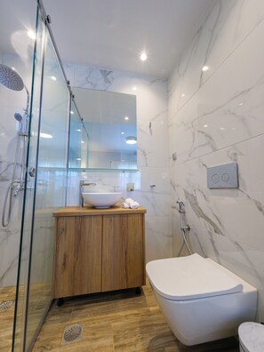 Shower, hair dryer, bidet, towels
