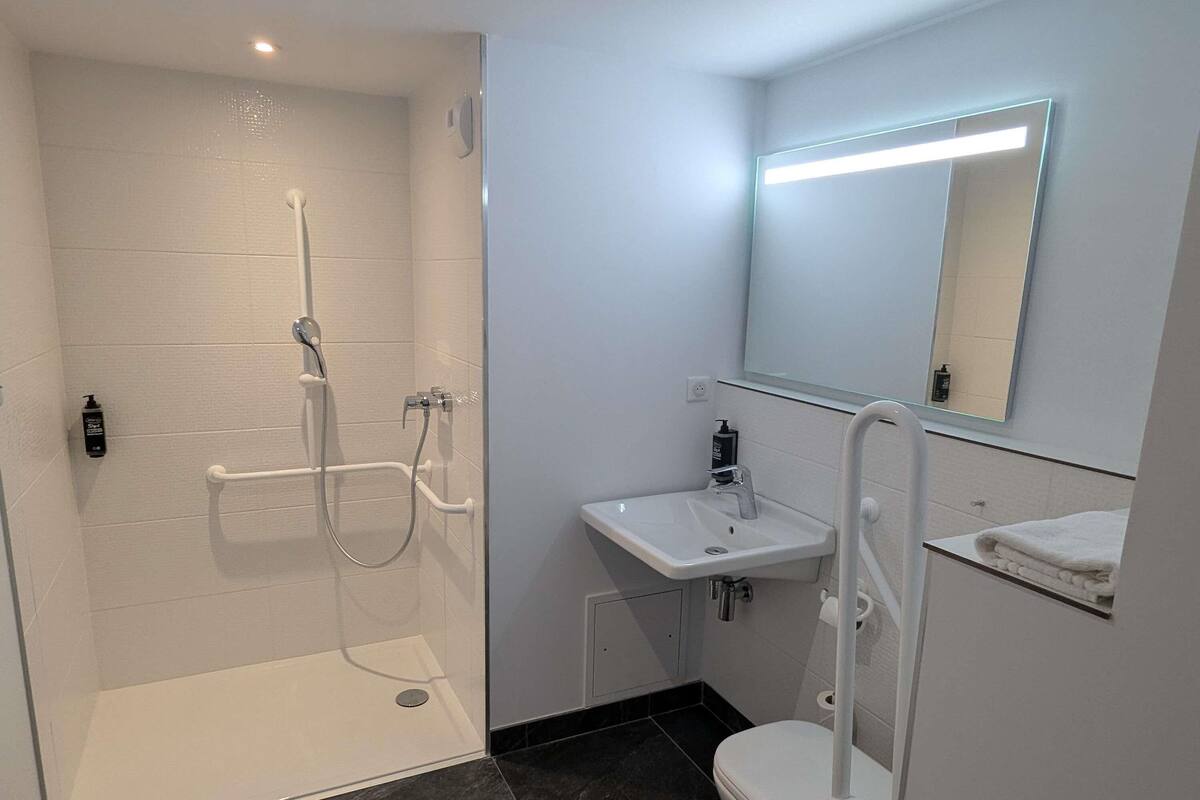 A modern bathroom with a walk-in shower, a white sink with a mirror, and a toilet.