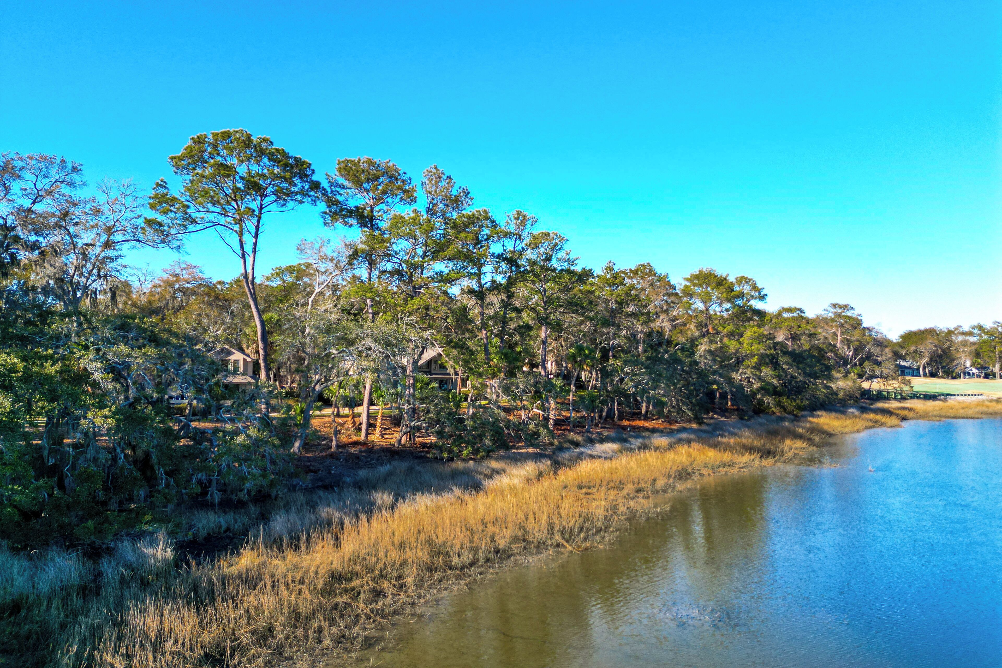 A serene riverside landscape with trees and a calm water body.
