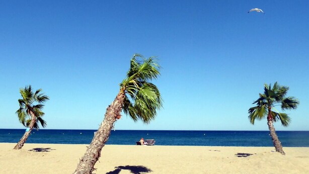 Beach