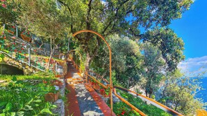 Un escalier en pierre avec une rampe en métal, entouré d’une végétation luxuriante et de plantes en pot.