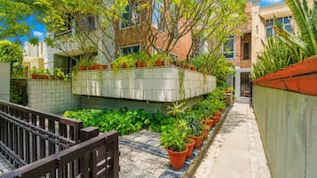 Un sendero estrecho bordeado por plantas en macetas y una pared de ladrillo.