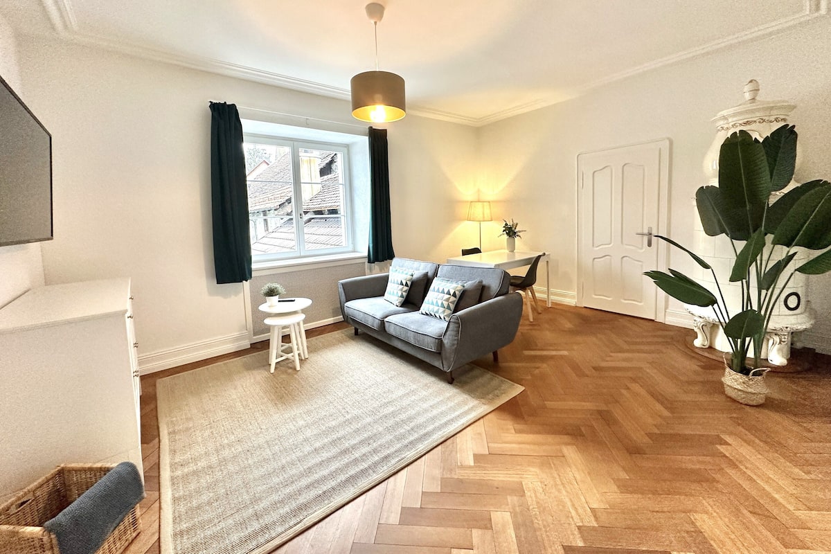 Business Apartment | Coin séjour | Télévision