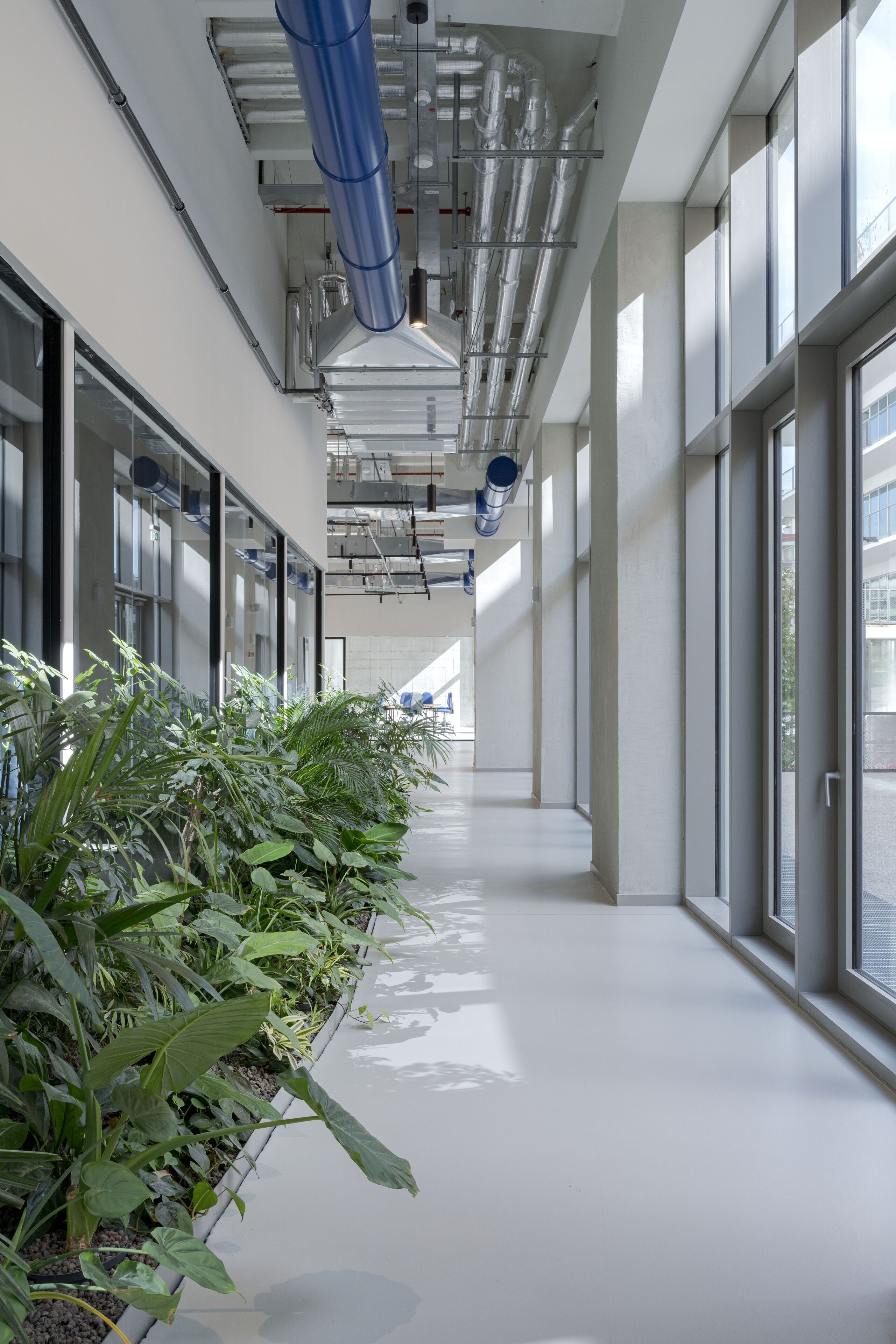 Foto - NEW OPENING 2025 aparto Florence Manifattura