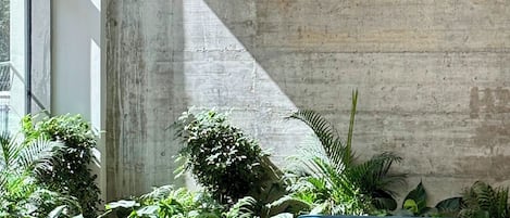 Un espacio lounge moderno con asientos azules, paredes de concreto y plantas de interior.