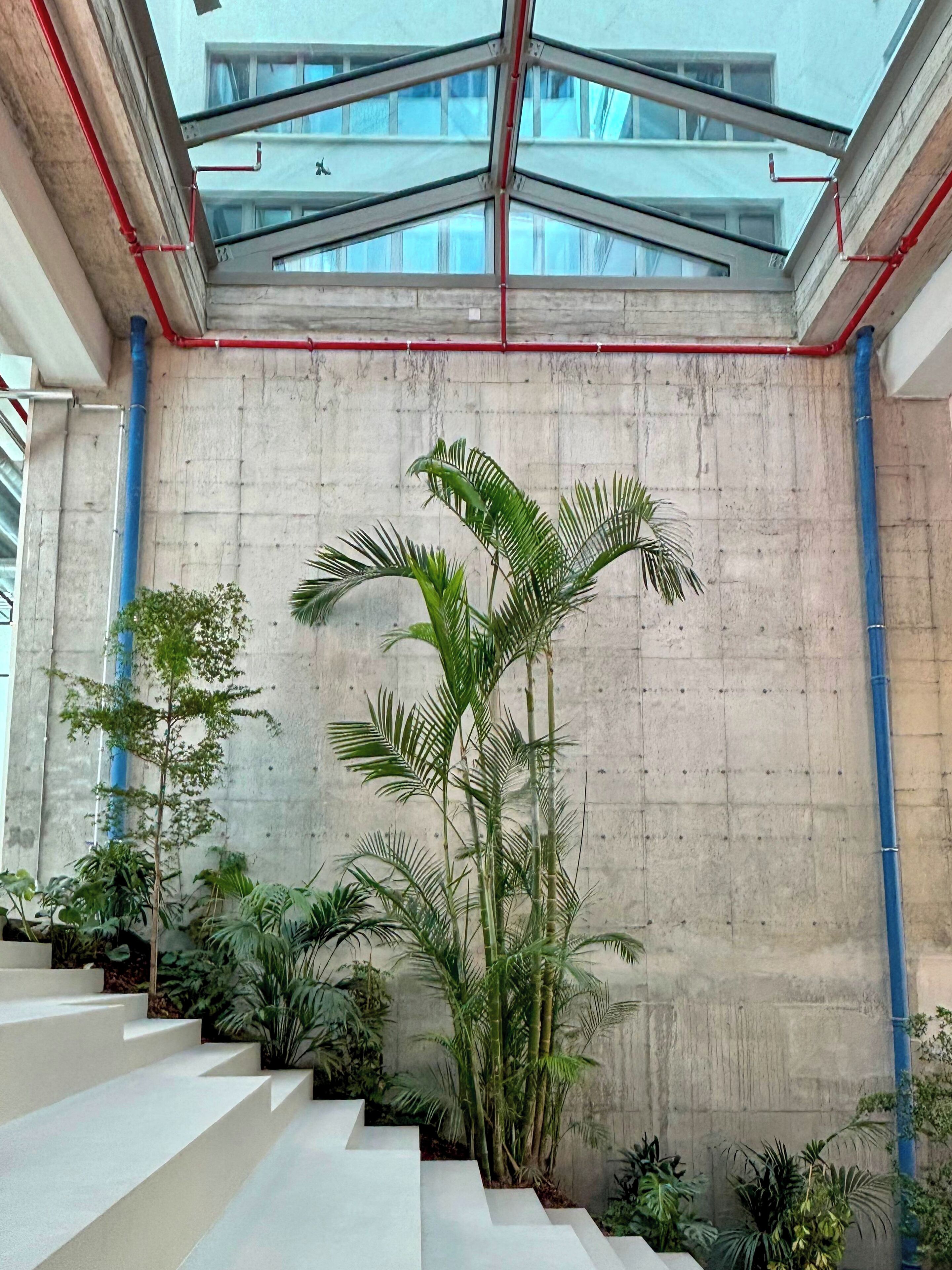 A modern interior with concrete walls, a glass ceiling, and a staircase surrounded by various plants.