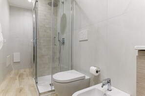 Shower, hair dryer, bidet, towels