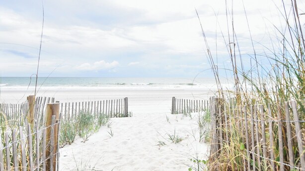 A sandy beach path leading to the ocean, surrounded by wooden fences and tall grasses. - Oceanfront 3 BR Condo with Shared Pool! Admiral's Quarters II 13 (Surfside Beach)