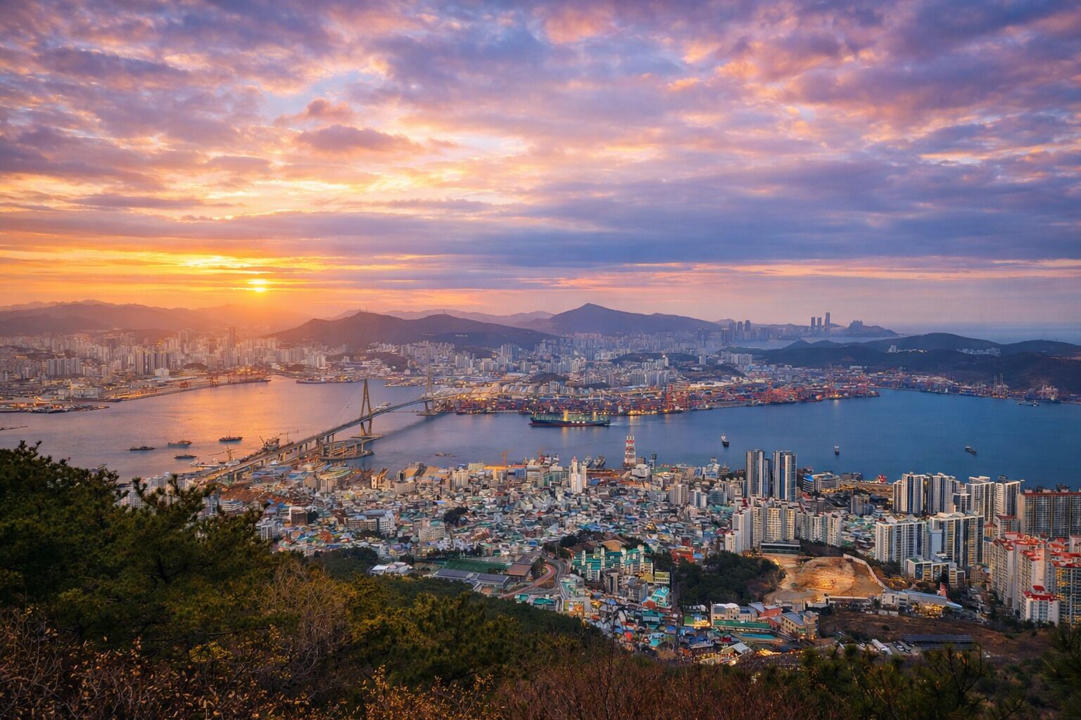 A panoramic cityscape with a prominent bridge, dense urban buildings, and a body of water.