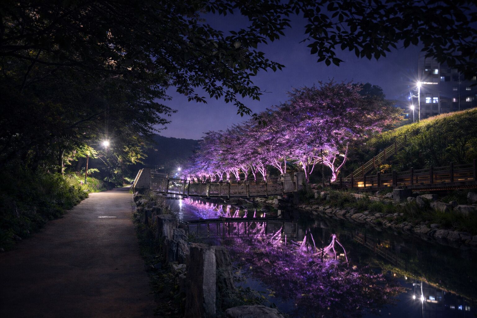 Escena nocturna con un sendero, un puente y flores de cerezo reflejándose en el agua.