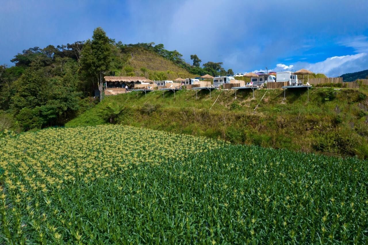 Ein Campingplatz mit Wohnmobilen und Hütten an einem Hügelhang, umgeben von einem Feld mit Feldfrüchten.