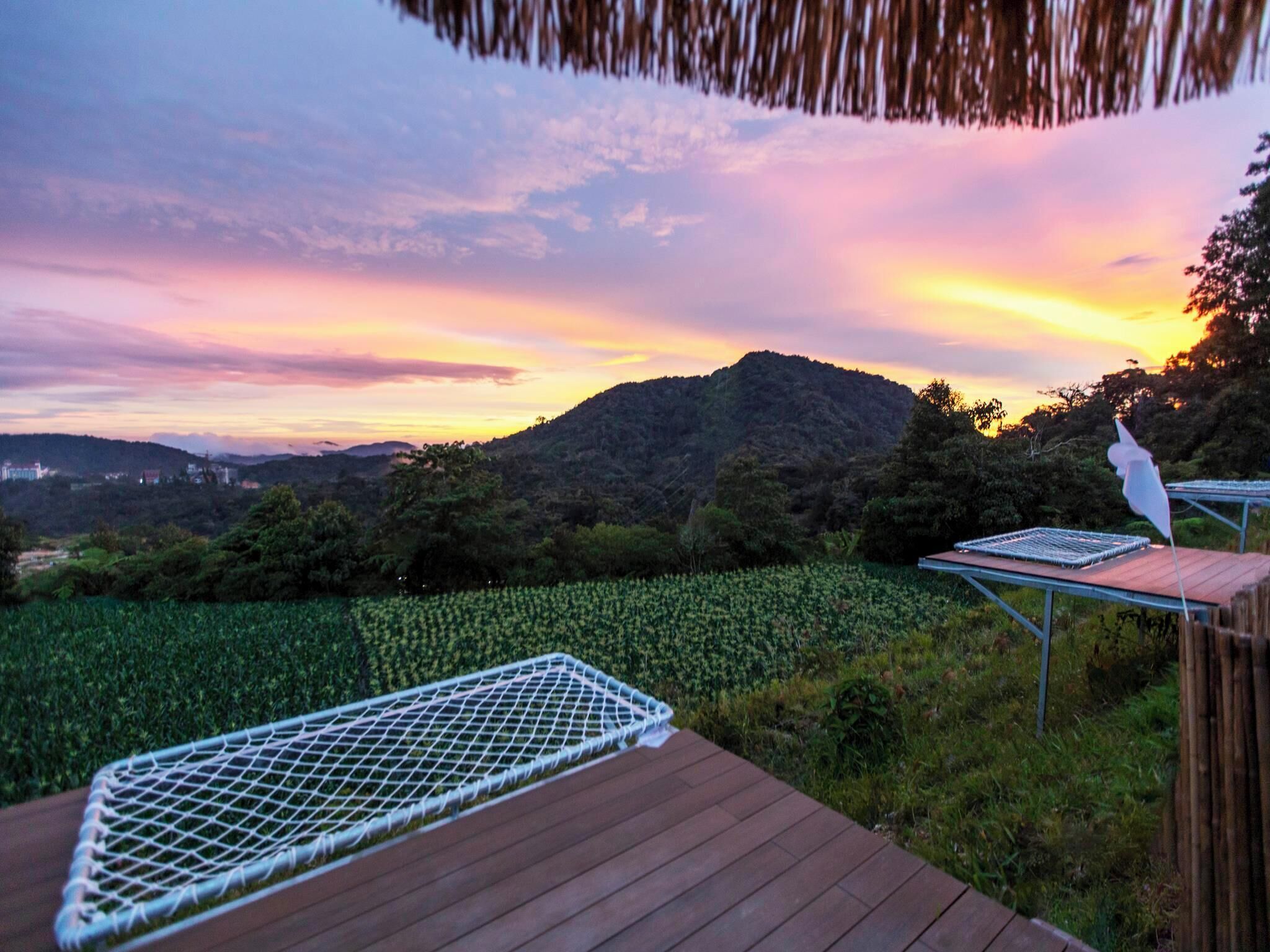 Eine Holzterrasse mit einer Hängematte und einem Vogelhaus, mit Blick auf ein Feld und einen Hügel bei Sonnenuntergang.