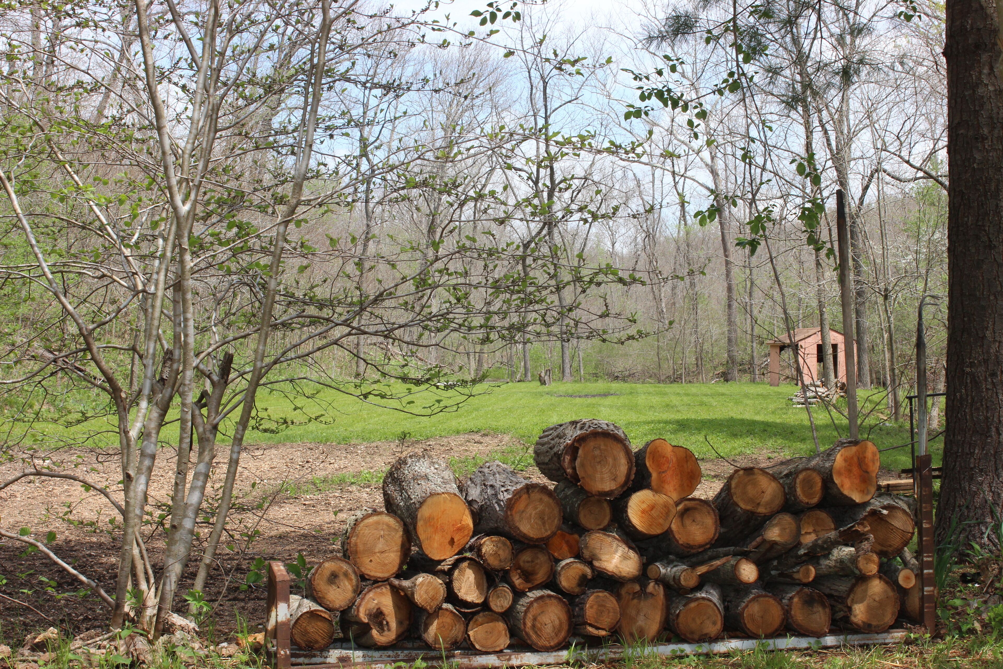 A stack of cut logs in a forested area with a small cabin in the background.