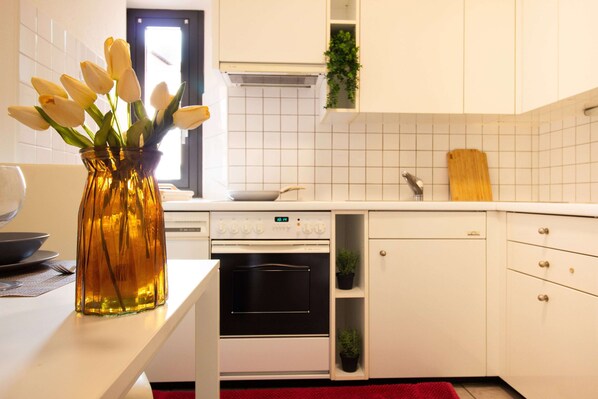 Fridge, oven, stovetop, dishwasher