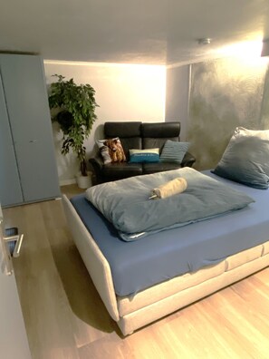 6 slaapkamers, een strijkplank/strijkijzer, wifi, beddengoed