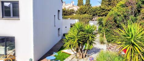 Une maison moderne dotée d’une piscine, entourée de différentes plantes et arbres.