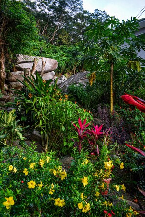 Garden - Wild Vanilla Apartment (Mahé Island)