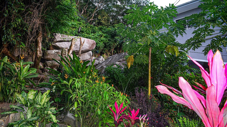 Wild Vanilla Apartment