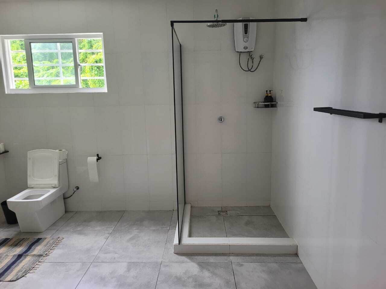 Un bagno con il water, una doccia e una finestra.