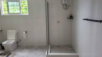 Un bagno con il water, una doccia e una finestra.