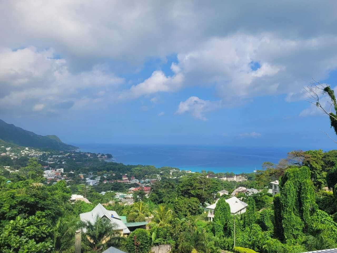 A coastal town with houses and greenery, a clear sky, and the ocean in the background.