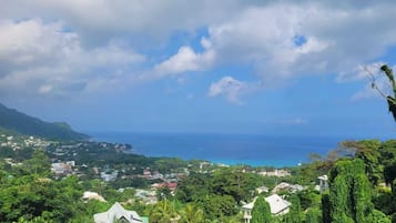 A coastal town with houses and greenery, a clear sky, and the ocean in the background.