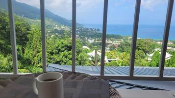 Deluxe-Einzelzimmer | Terrasse/Patio