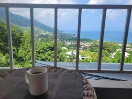 Deluxe Single Room | Terrace/patio