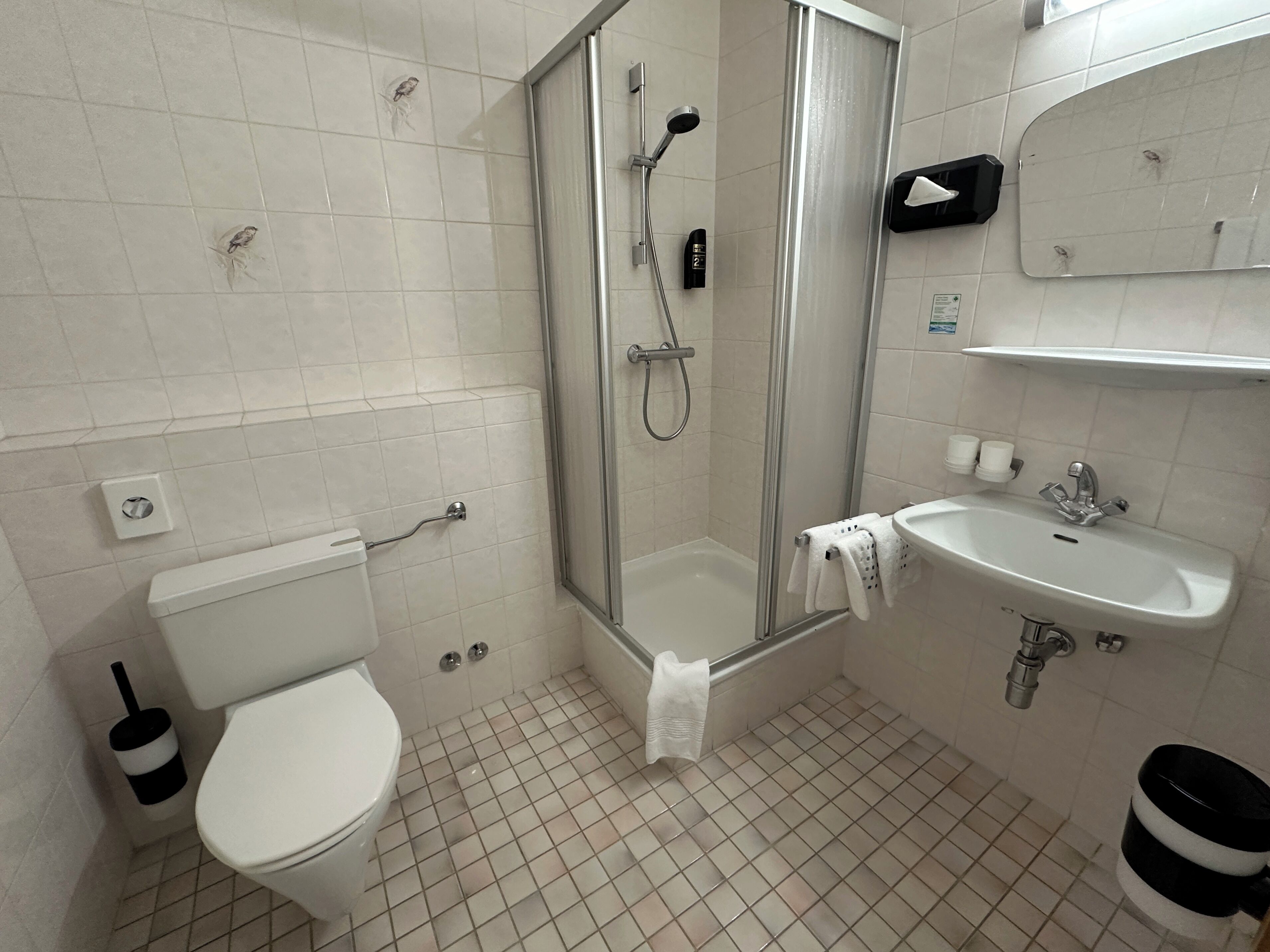 A bathroom with a toilet, a shower enclosure, a sink, and a mirror.