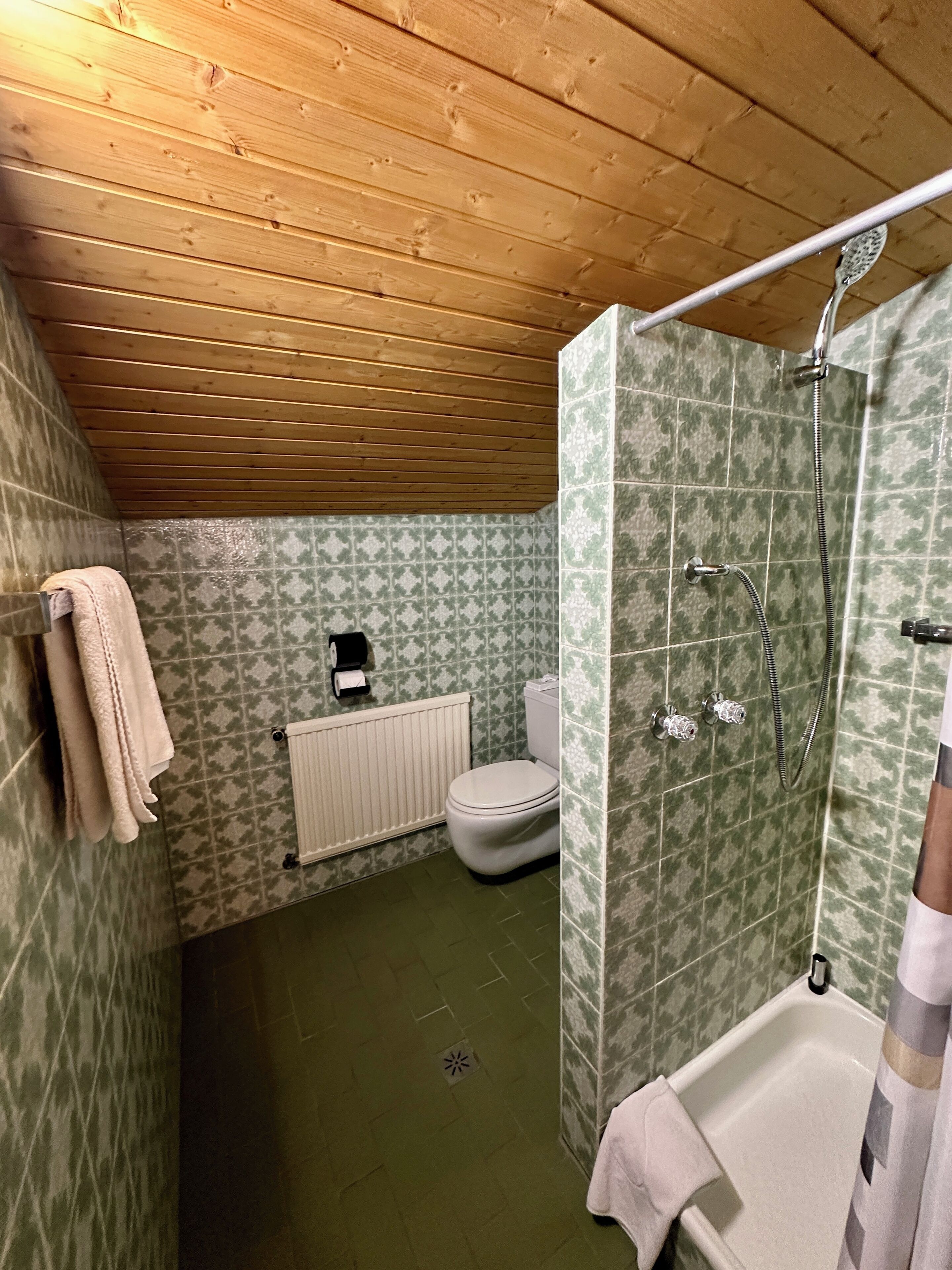 A bathroom with a wooden ceiling, patterned green tiles, a white toilet, a shower with a hose, and a towel rack.