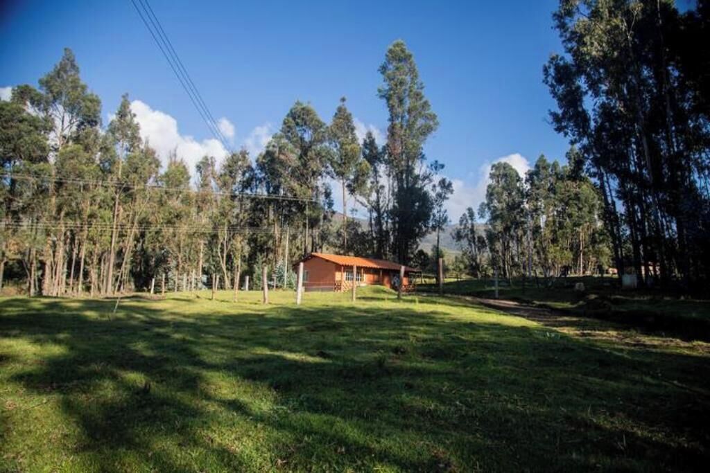 Un paysage rural avec une seule maison, entourée de grands arbres et sous un ciel dégagé.