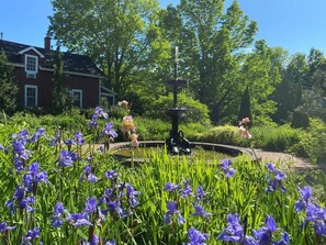 المنطقة المحيطة بالمنشأة