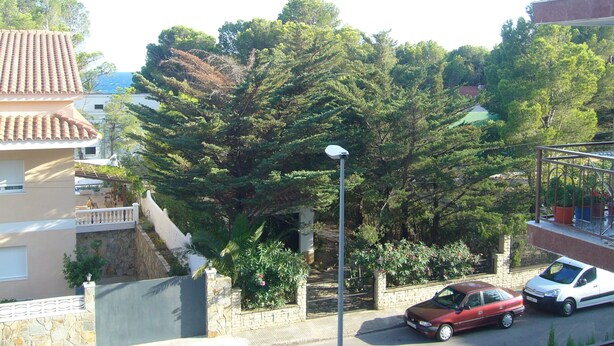 Zona residencial con un coche rojo estacionado en la calle, rodeada de árboles y edificios.