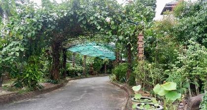 Chalet De Palm Resort Hatyai