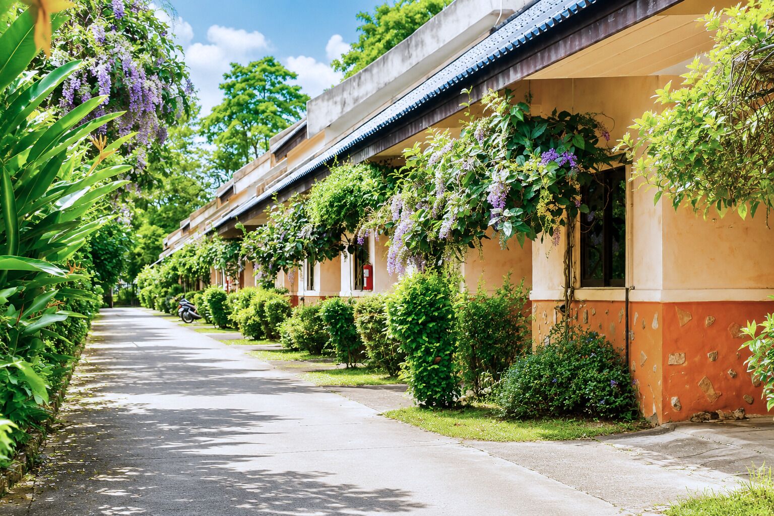 Eksteriør