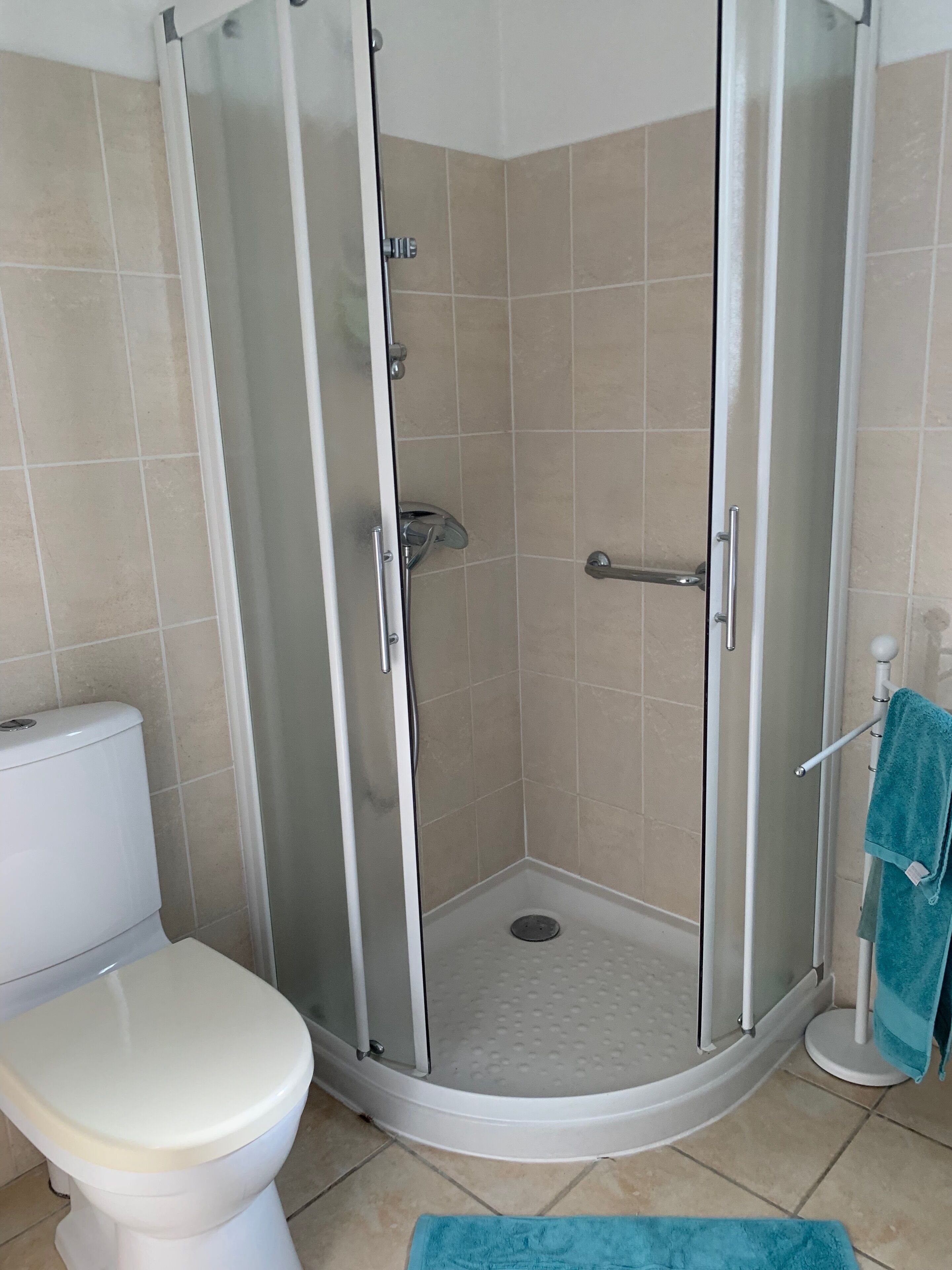 A bathroom with a glass-enclosed shower, a toilet, and a towel rack with a towel.