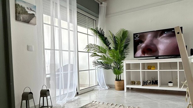 Een woonkamer met een groot raam, een plant in pot, een televisie en een kamerkleed met een patroon.