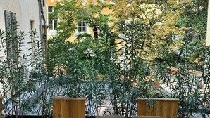 Eine Holzterrasse mit Esstisch, umgeben von Topfpflanzen und mit Blick auf eine Stadtlandschaft.