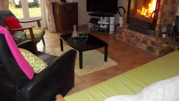 Una televisión, una chimenea, libros