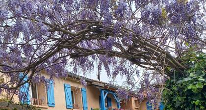 HAUTES PYRENEES Renovated 3-star Bergerie at Lannemezan Tourist Office