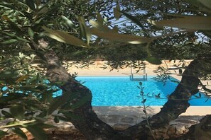 Pool - Trullo in Apulia with Private Pool (Cisternino)