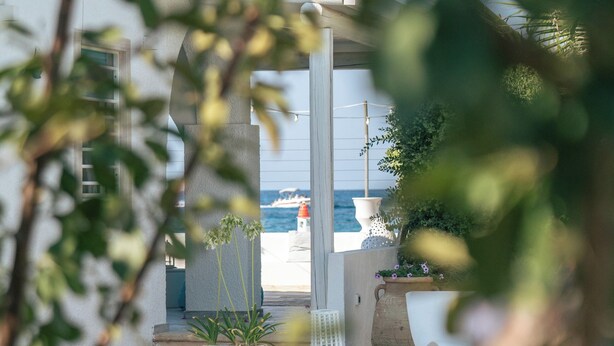 A pool area with a view of the sea, surrounded by potted plants and a white chair.