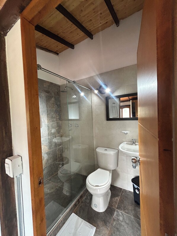 Une salle de bain moderne dot ée d’une douche à parois de verre, de toilettes et d’un lavabo.