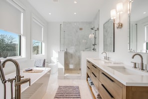 Hair dryer, towels, soap, toilet paper