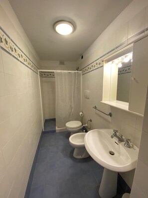 Regadera, secadora de cabello, bidet, toallas 